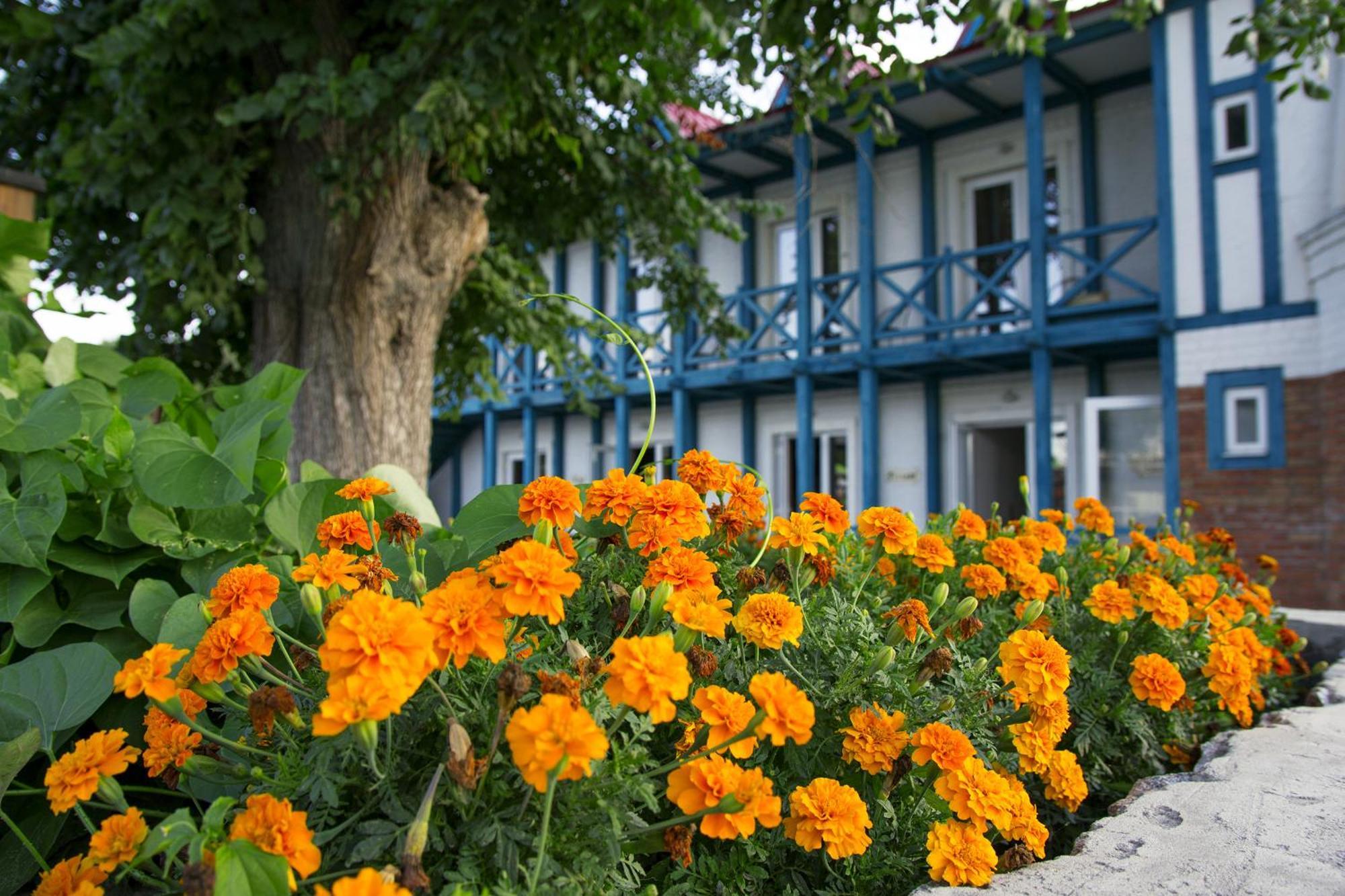 Kam'yani Potoky Mayak Resort מראה חיצוני תמונה